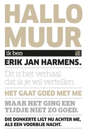 Omslag van Hallo, muur
