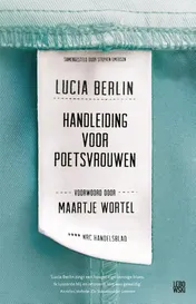 Omslag van Handleiding voor poetsvrouwen