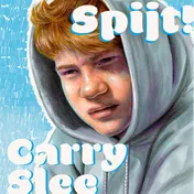 Omslag van Spijt