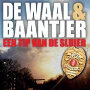 Omslag van Een tip van de sluier