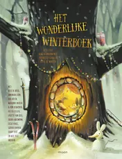 Omslag van Het wonderlijke winterboek