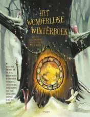 Omslag van Het wonderlijke winterboek