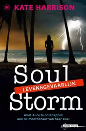 Omslag van Soul Storm