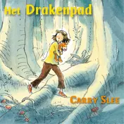 Omslag van Het drakenpad