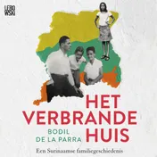 Omslag van Het verbrande huis