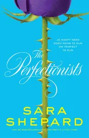 Omslag van The Perfectionists