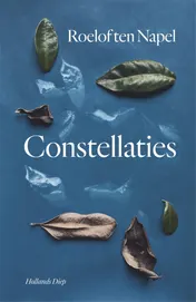 Omslag van Constellaties