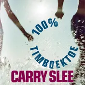 Omslag van 100% Timboektoe