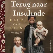 Omslag van Terug naar Insulinde
