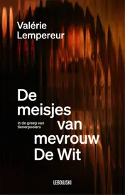 Omslag van De meisjes van mevrouw De Wit