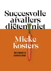 Omslag van Succesvolle afvallers diëten niet