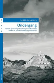 Omslag van Ondergang