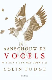 Omslag van Aanschouw de vogels