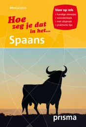 Omslag van Hoe zeg je dat in het Spaans
