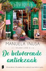 Omslag van De betoverende antiekzaak