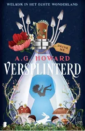 Omslag van Versplinterd