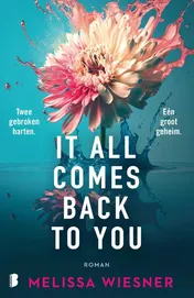 Omslag van It All Comes Back To You