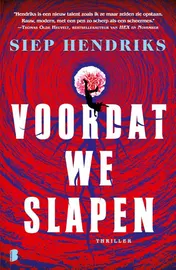 Omslag van Voordat we slapen
