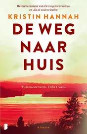 Omslag van De weg naar huis