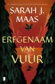 Omslag van Erfgenaam van vuur