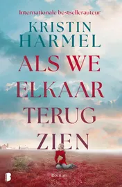 Omslag van Als we elkaar terugzien