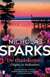Omslag van De thuiskomst