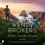 Omslag van Stilte na de storm