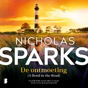 Omslag van De ontmoeting