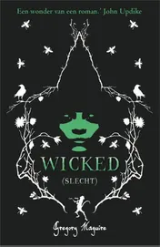 Omslag van Wicked
