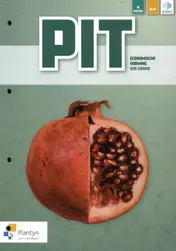 Omslag van PIT (3 boekjes: economische, maatschappelijke en artistieke vorming) (incl. Scoodle)