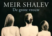 Omslag van De grote vrouw