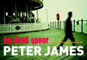 Omslag van Op dood spoor