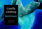 Omslag van Steenhouwer