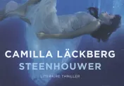 Omslag van Steenhouwer