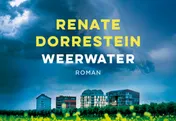 Omslag van Weerwater