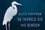 Omslag van De wereld die we kenden