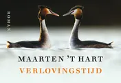Omslag van Verlovingstijd