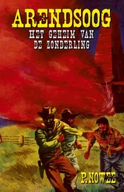 Omslag van Het geheim van de zonderling