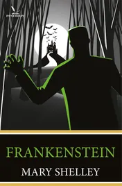 Omslag van Frankenstein
