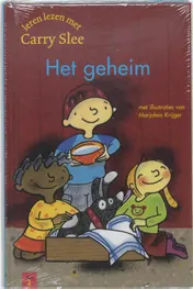 Omslag van Het geheim