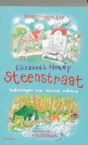 Omslag van Steenstraat