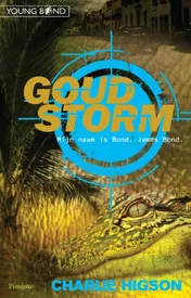Omslag van Goudstorm