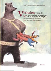 Omslag van Verhalen voor de vossenbroertjes