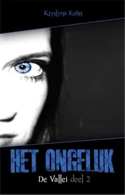 Omslag van 2 Het ongeluk