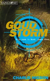 Omslag van Goudstorm