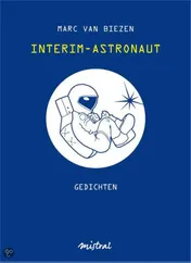 Omslag van Interim-astronaut