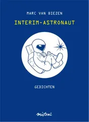 Omslag van Interim-astronaut