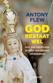 Omslag van God bestaat wel
