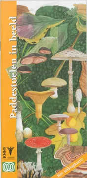 Omslag van Paddestoelen in beeld