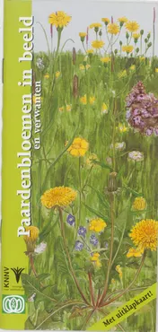 Omslag van Paardenbloemen in beeld